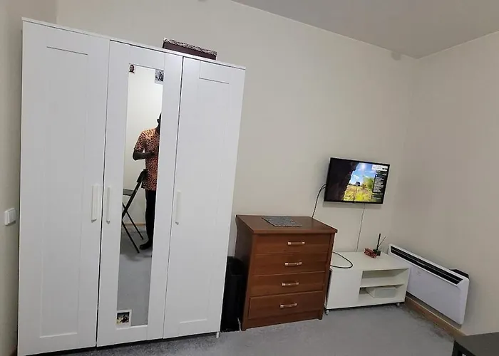 Cozy One-Bedroom Apartment